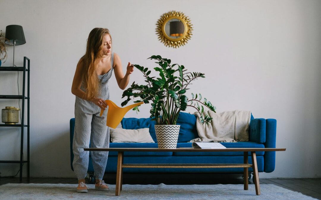 Houseplants for Real Life: Low-Maintenance Greenery for Student Living