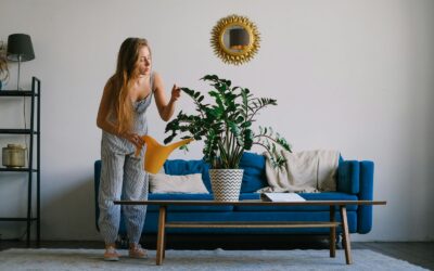 Houseplants for Real Life: Low-Maintenance Greenery for Student Living